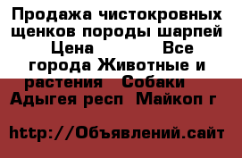 Продажа чистокровных щенков породы шарпей › Цена ­ 8 000 - Все города Животные и растения » Собаки   . Адыгея респ.,Майкоп г.